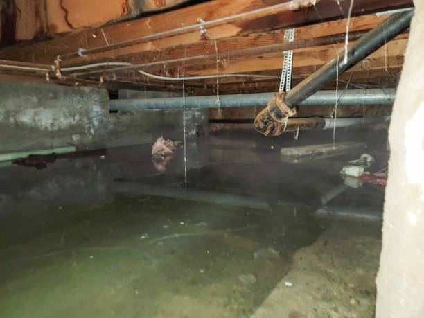 Best Carpet water damage restoration  in Laguna Beach, CA