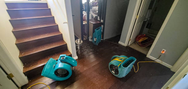 24/7 water damage repair in Laguna Beach, CA