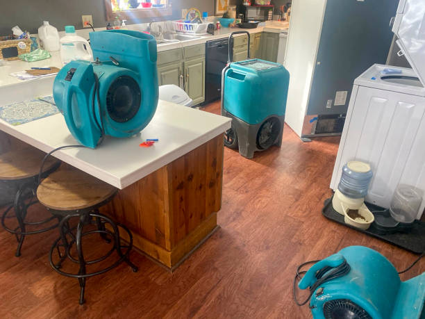 Best Basement water damage restoration  in Laguna Beach, CA