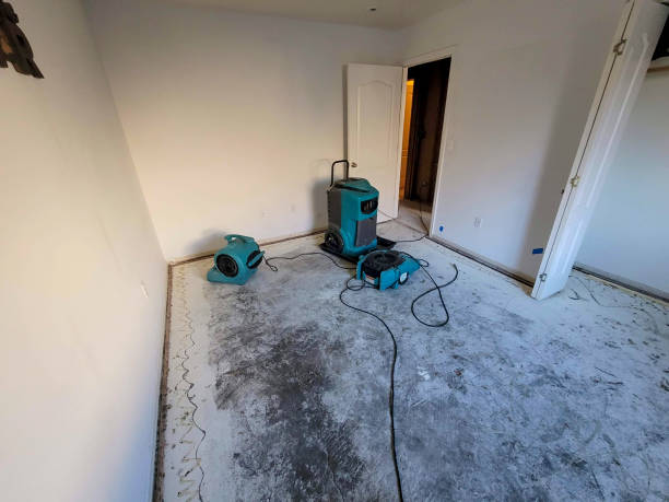 Best Water damage restoration near me  in Laguna Beach, CA