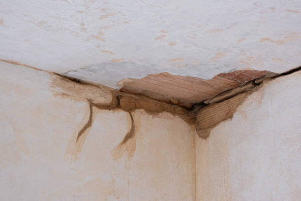 Best Ceiling water damage repair  in Laguna Beach, CA