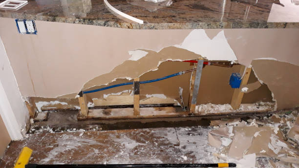 Best Water damage restoration process  in Laguna Beach, CA