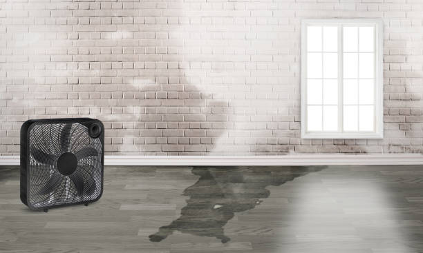 Best Water damage restoration mold remediation  in Laguna Beach, CA