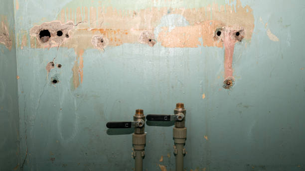 Trusted Laguna Beach, CA Water damage restoration Experts